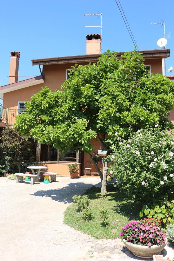 Casa Flora Apartment Treppo Grande Exterior photo
